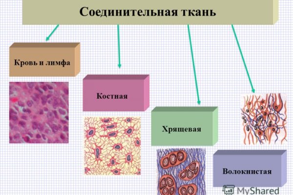 Kraken даркнет рынок