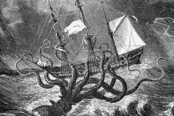 Kraken 17 at