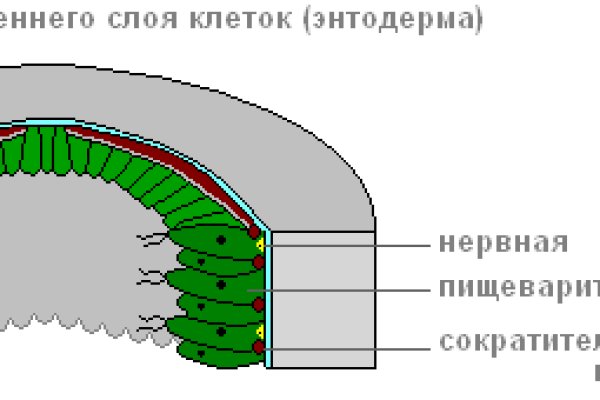 Кракен настоящее зеркало