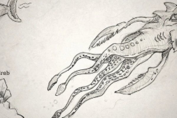 Kraken 22 аt