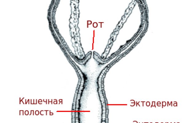 Кракен store