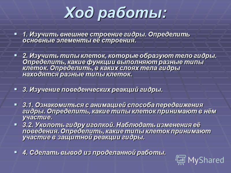 Значок кракена маркетплейса