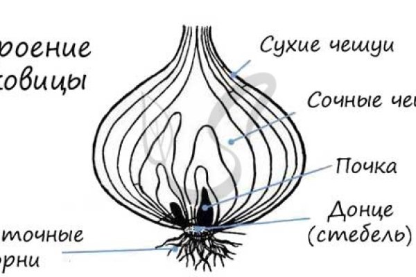 Зайти на кракен